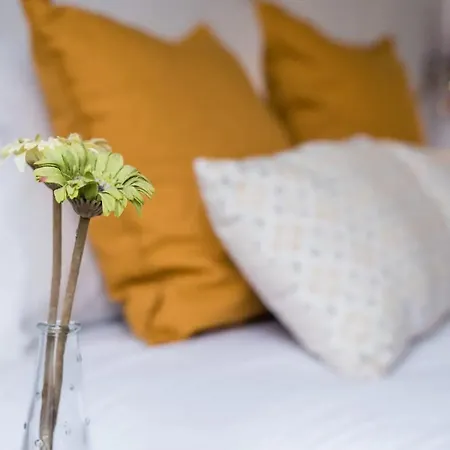 Appartamento Papa 2D - Papa Studio Central City View *