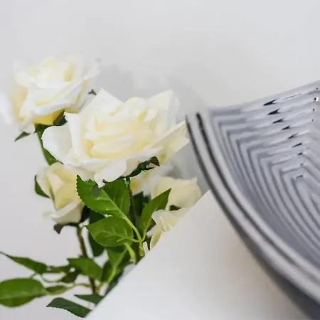 Papa 1f - Papa * Porto