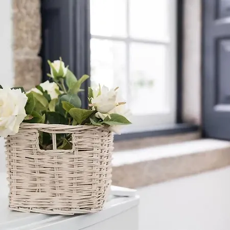 Papa 2D - Papa Studio Central City View Apartmán *